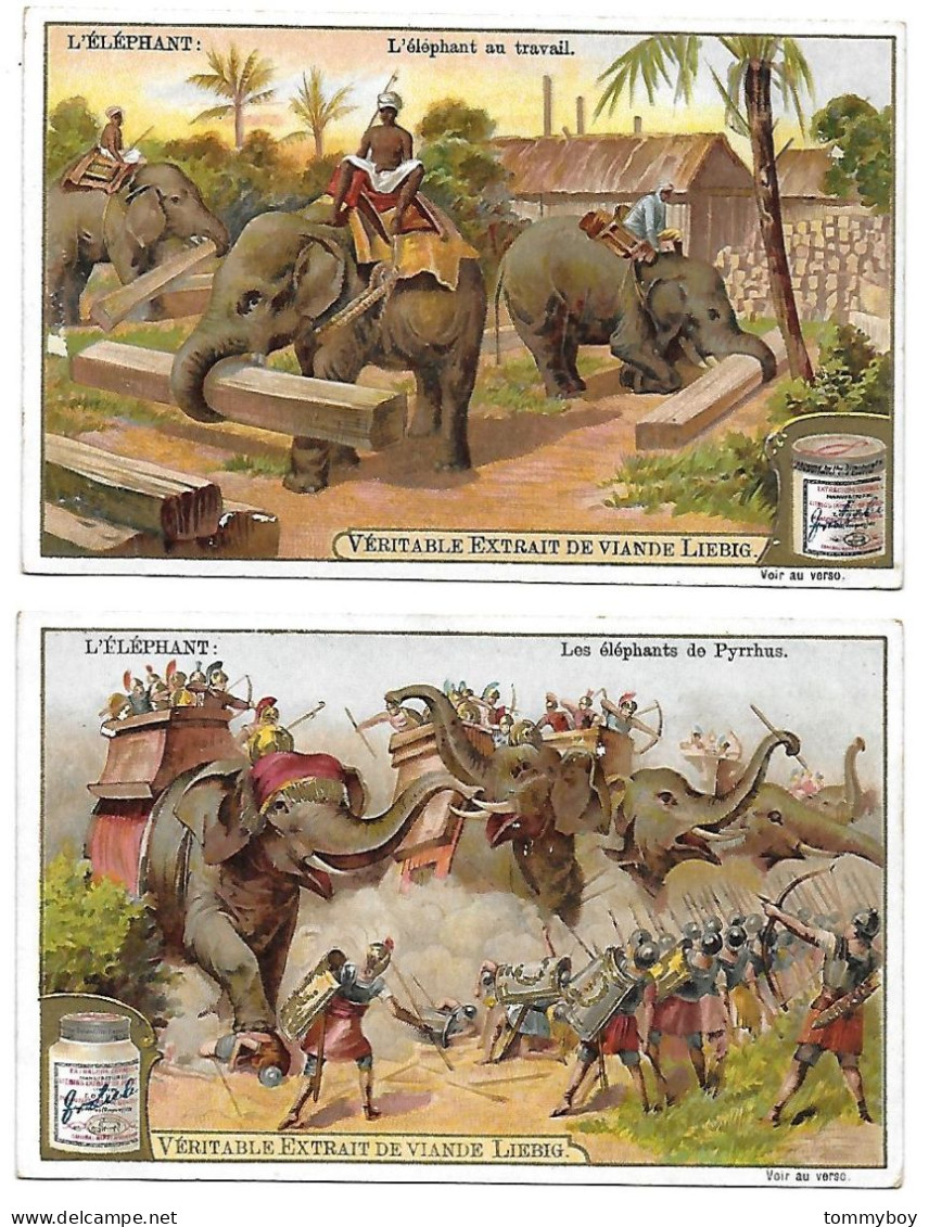 S 701, Liebig 6 Cards, L'éléphant (ref B17) - Liebig