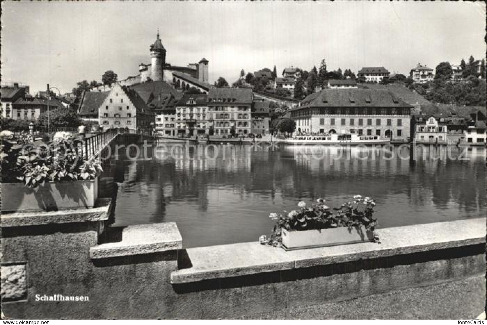 12475267 Schaffhausen SH Rheinpartie Mit Munot Schaffhausen - Altri & Non Classificati