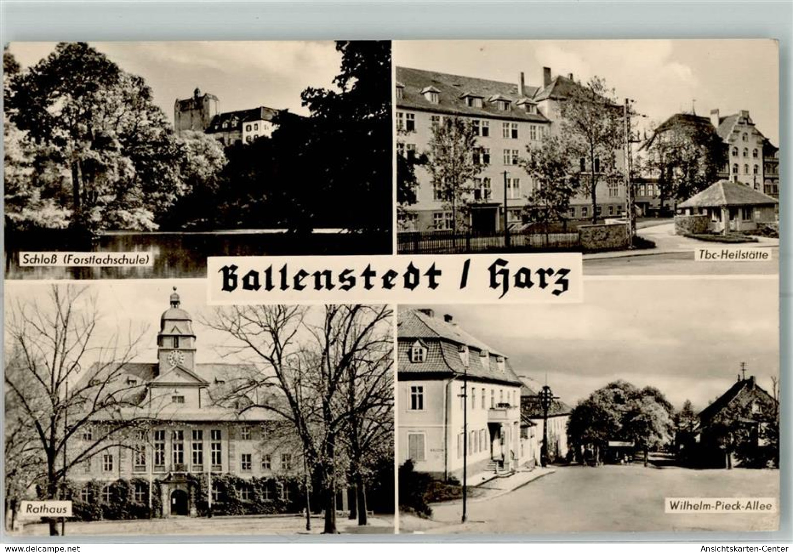 10484009 - Ballenstedt - Ballenstedt