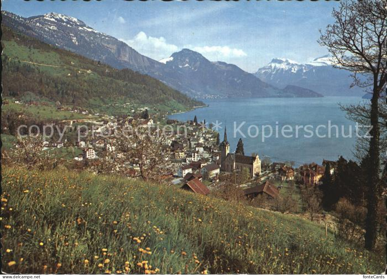 12468137 Weggis Vierwaldstaettersee Panorama Vierwaldstaettersee Alpen Weggis - Autres & Non Classés