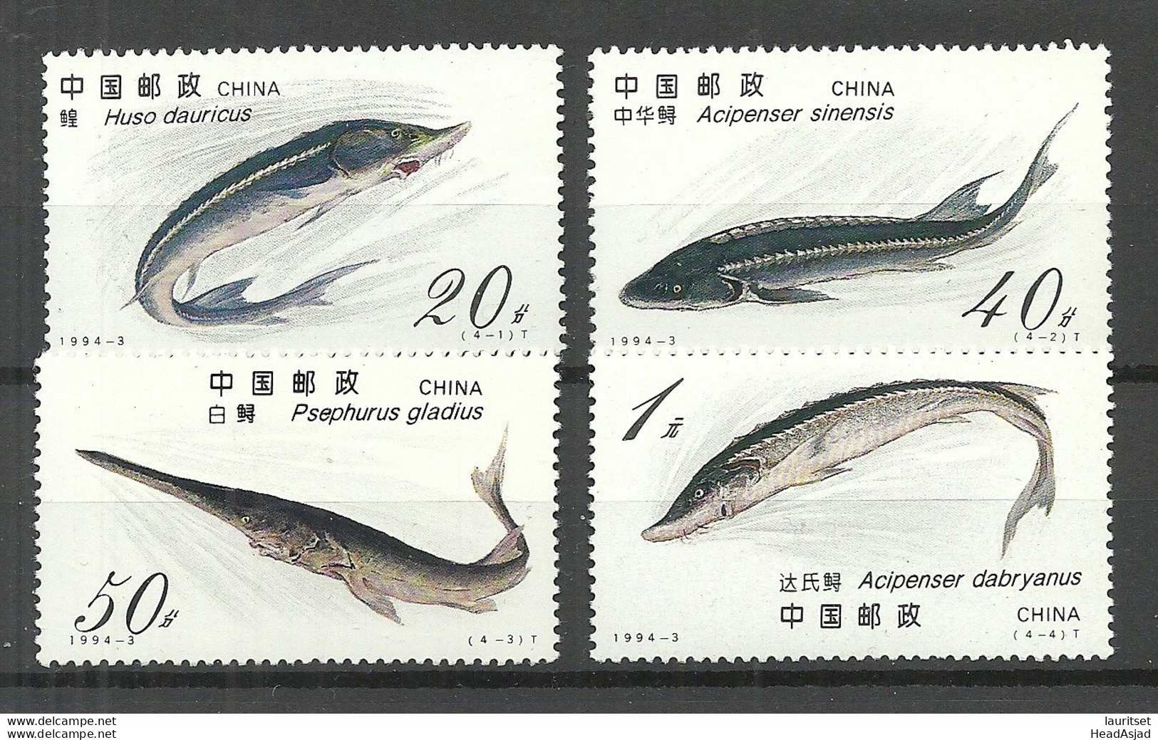 CHINA 1994 Michel 2521 - 2524 MNH Fische Fishes - Vissen