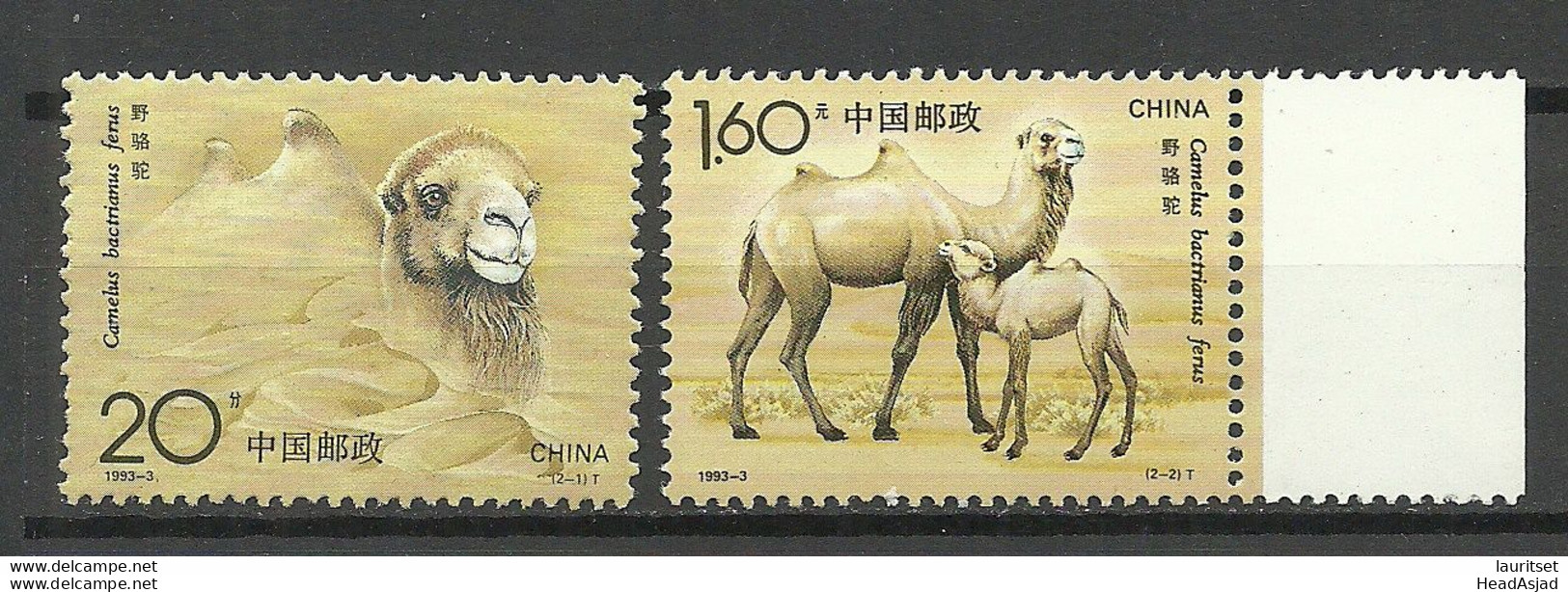 CHINA 1991 Michel 2467 - 2468 MNH Wildkamele Camel - Sonstige & Ohne Zuordnung