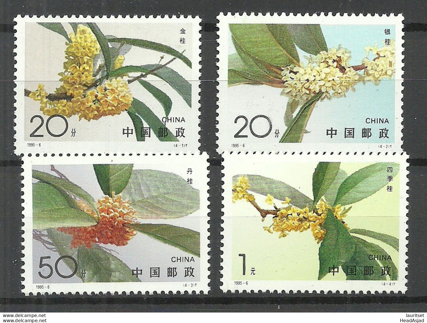 CHINA 1995 Michel 2600 - 2603 MNH Blüten - Neufs