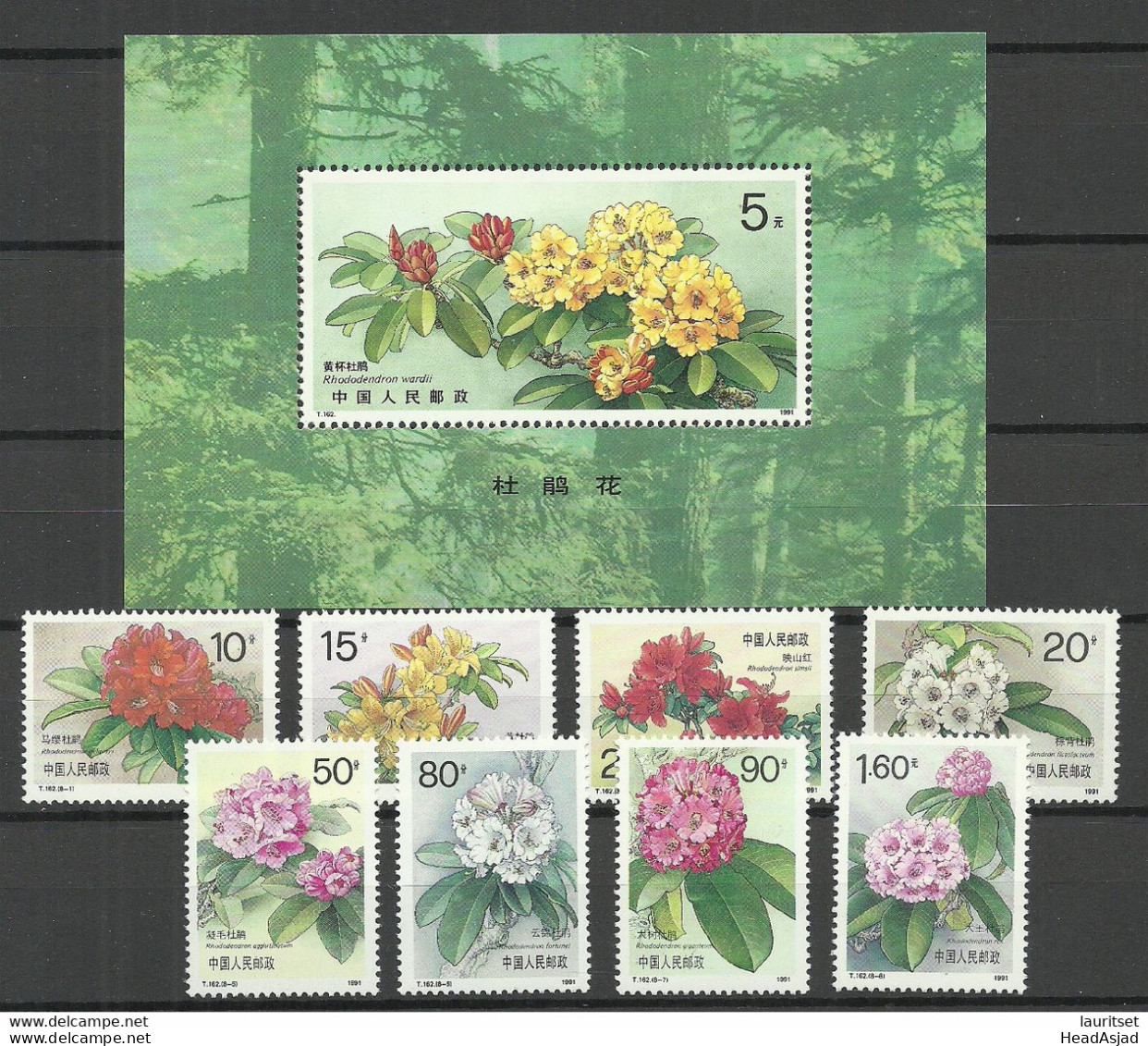 CHINA 1991 Michel 2364 - 2371 + Block No 57 (MI 2372) MNH Blumen Flowers Rhododendron - Sonstige & Ohne Zuordnung