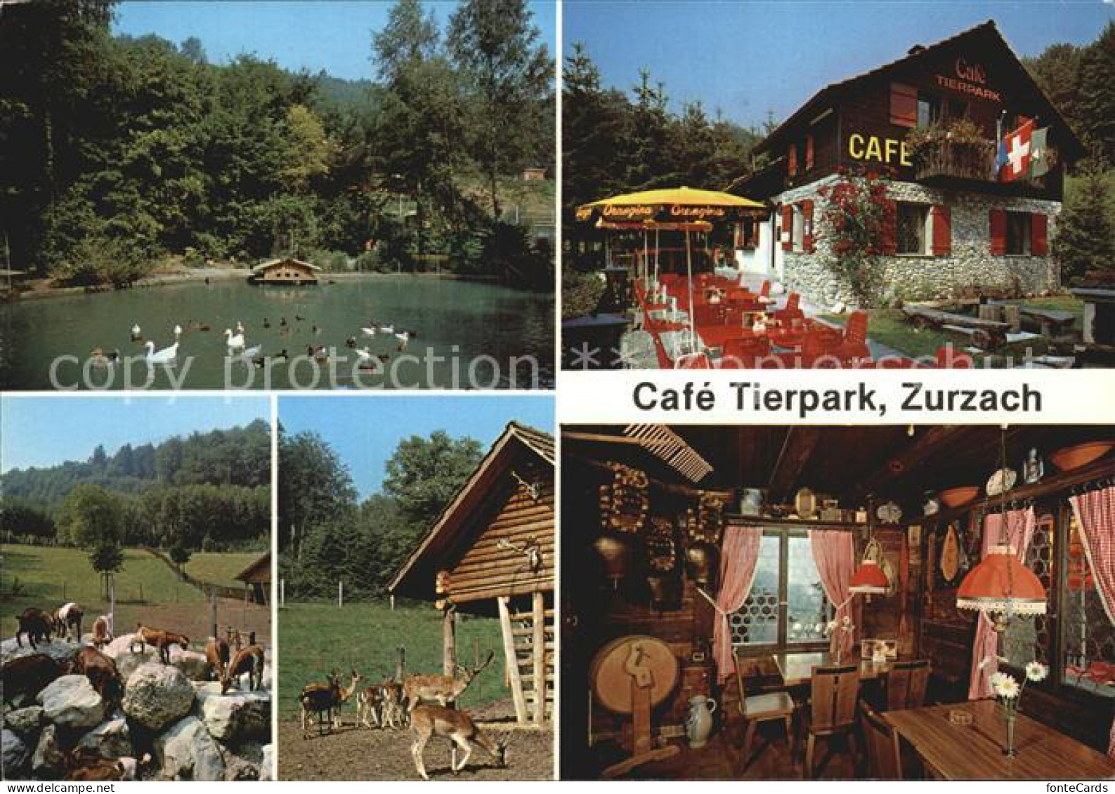 12458467 Zurzach Cafe Tierpark  Bad Zurzach - Autres & Non Classés