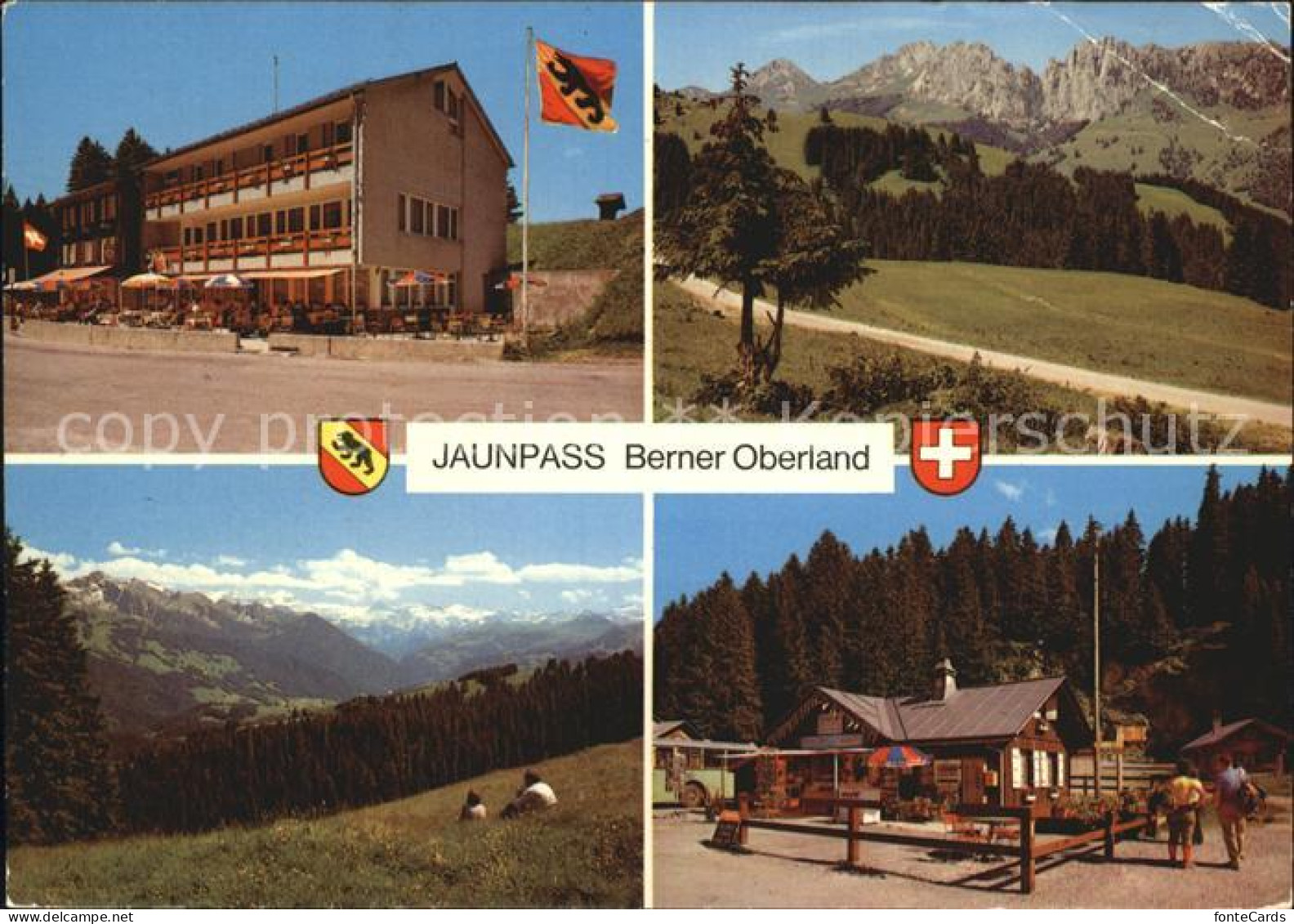 12456927 Jaunpass Hotel Des Alpes Gastlosen Simmental Sportbazar Jaunpass - Autres & Non Classés