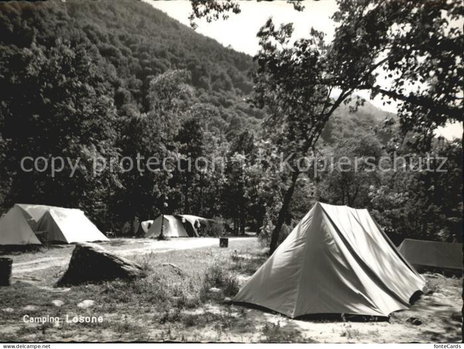 12445947 Losone Camping Losone Losone - Altri & Non Classificati