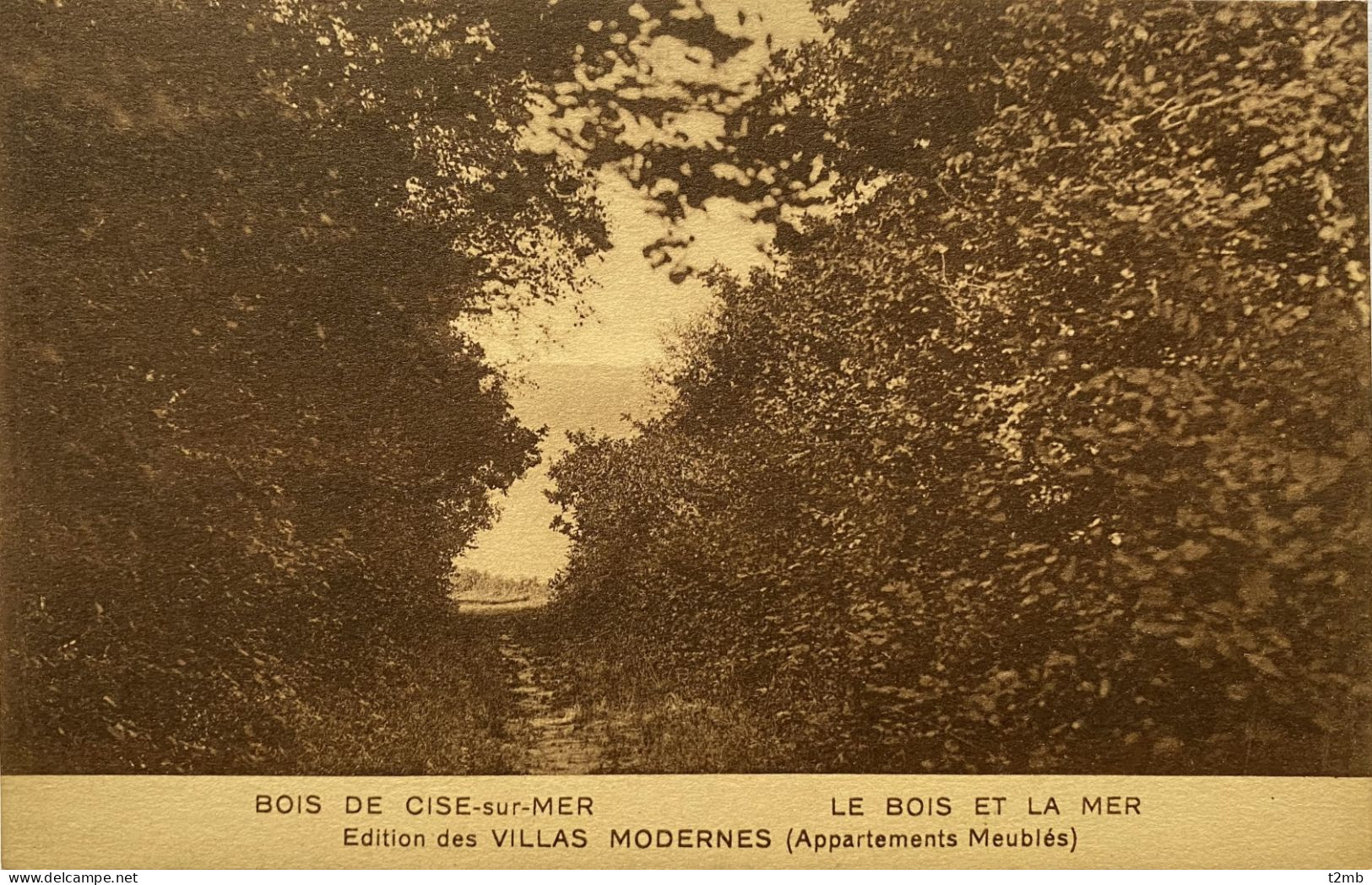 CPA (Somme) BOIS DE CISE Sur MER - Le Bois Et La Mer - Bois-de-Cise