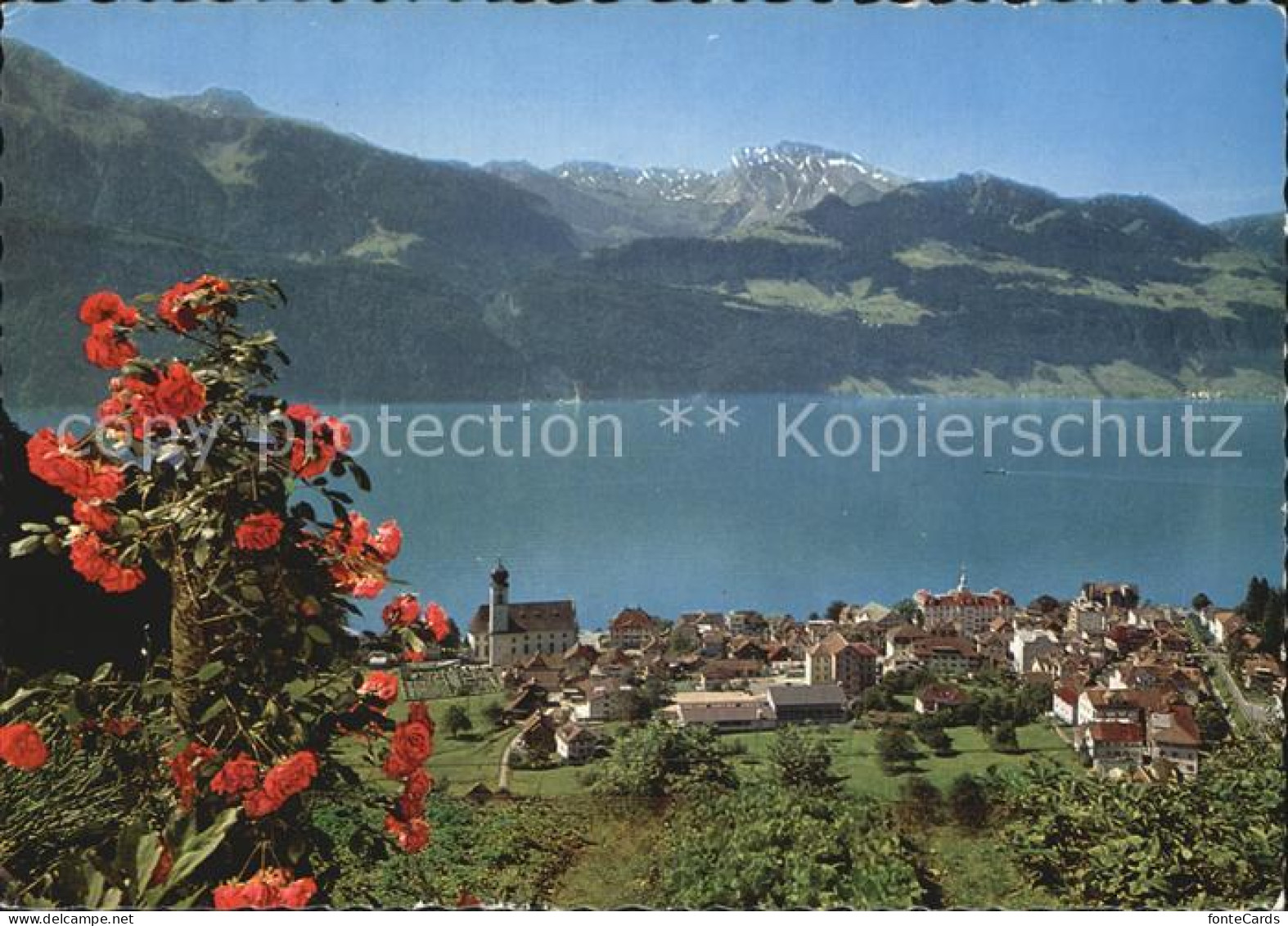 12434527 Gersau Vierwaldstaettersee Mit Vierwaldstaettersee Urirotstock Schwalmi - Other & Unclassified