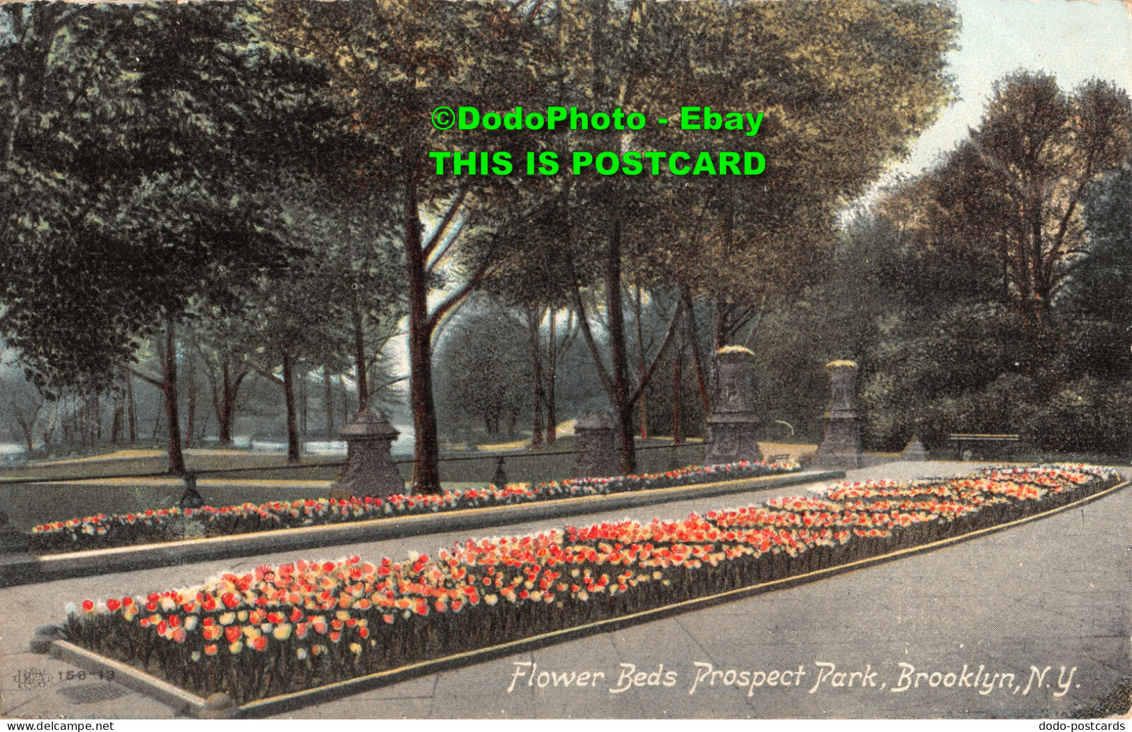 R412779 N. Y. Brooklyn. Flower Beds Prospect Park. 1908 - World