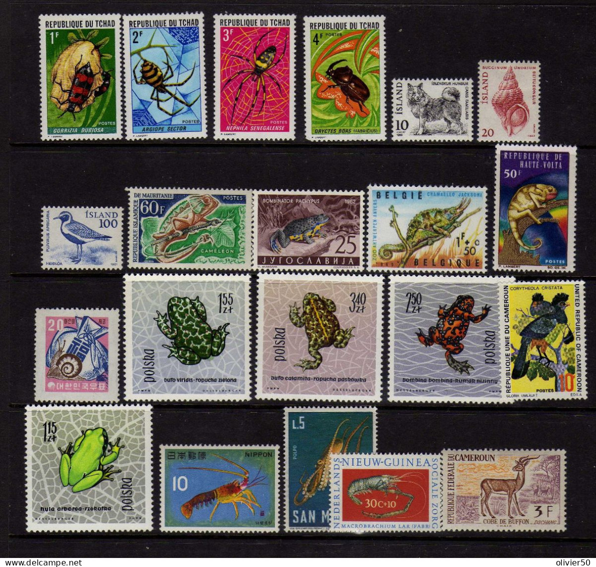 Animaux Du Monde -  Neufs** - MNH - Autres & Non Classés