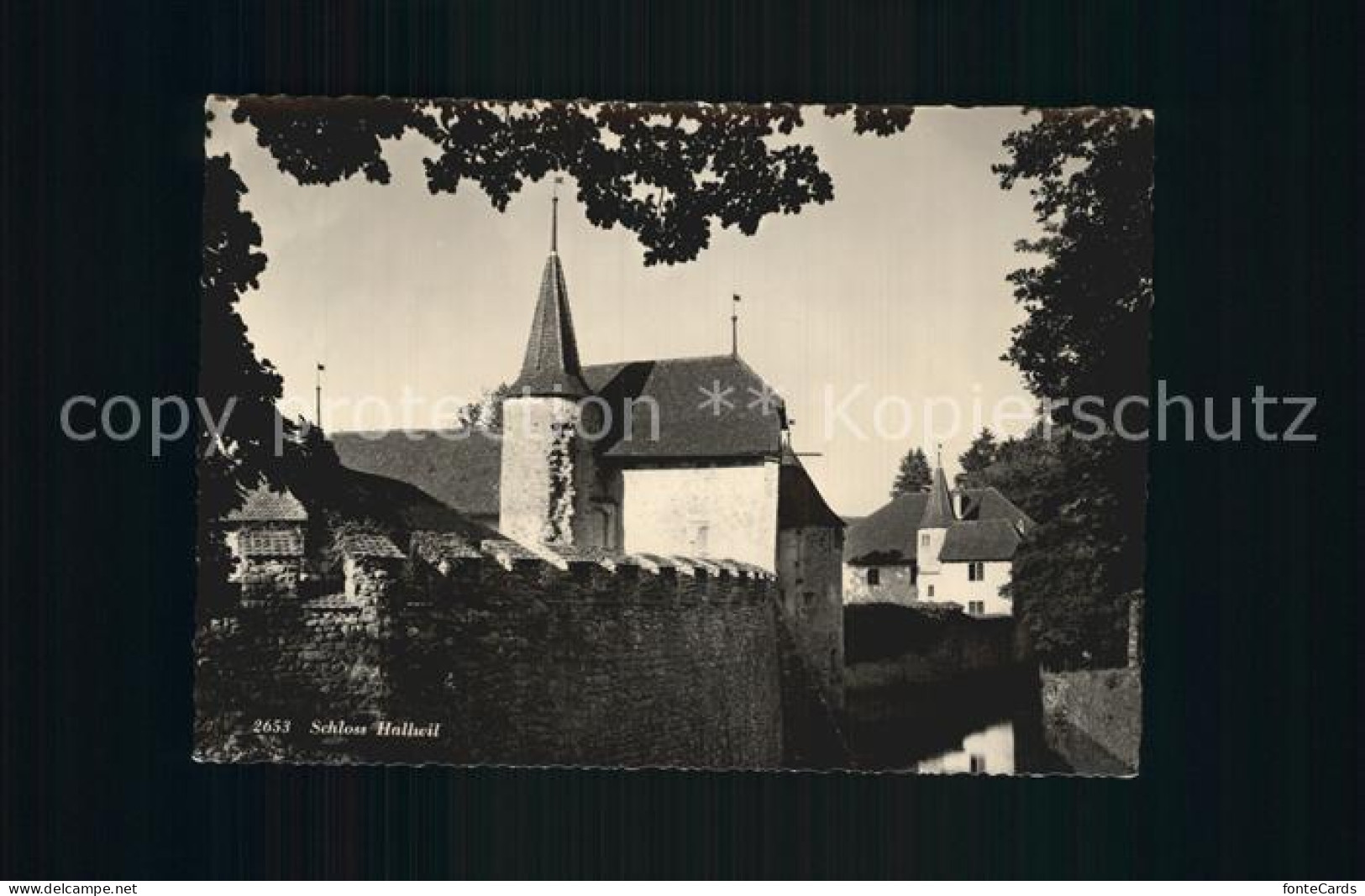 12402157 Hallwil Schloss Hallwil - Andere & Zonder Classificatie