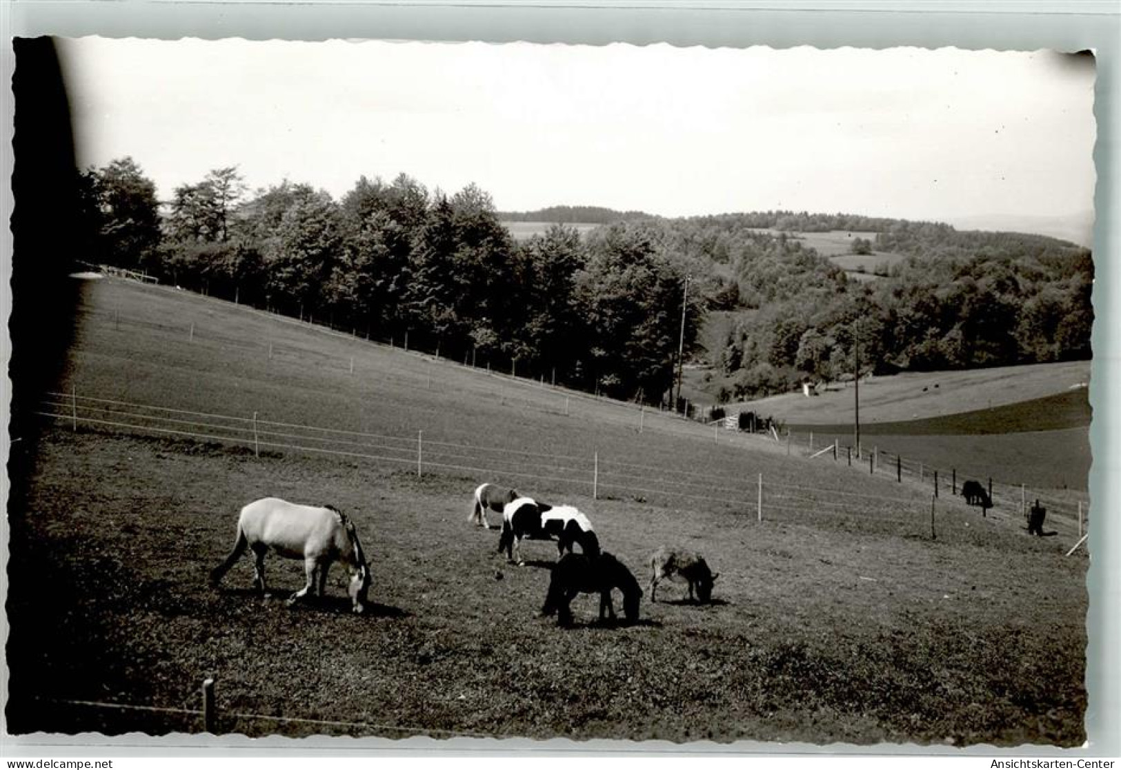 39848209 - Siedelsbrunn - Autres & Non Classés