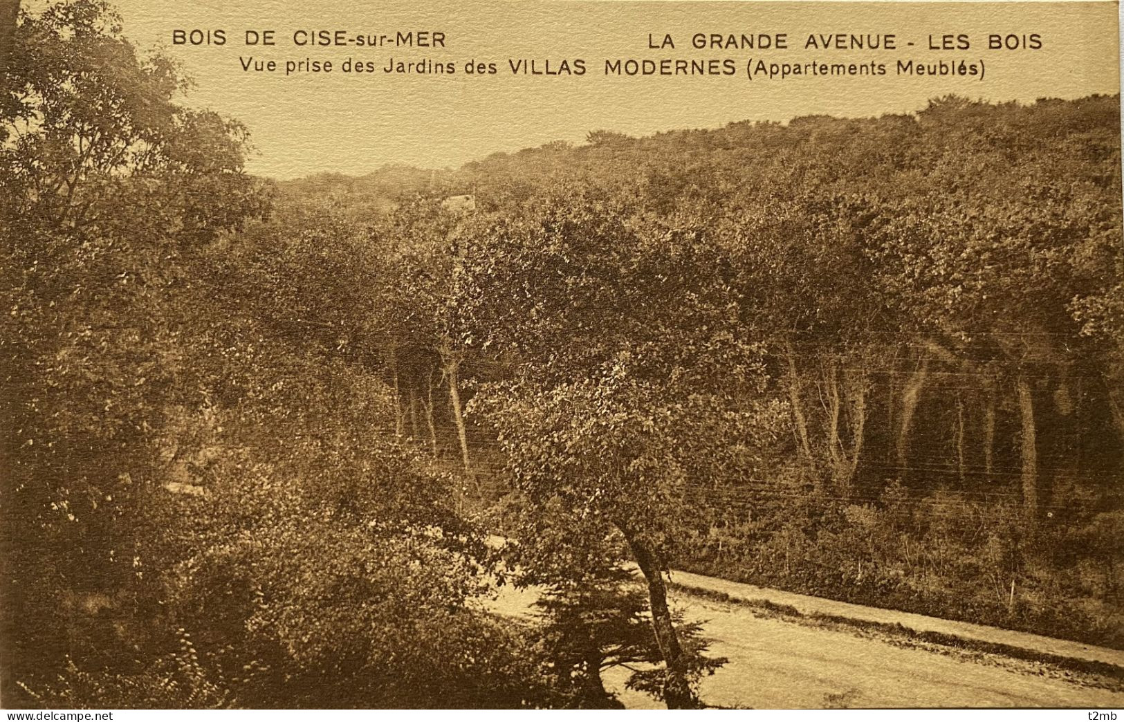 CPA (Somme) BOIS DE CISE Sur MER - La Grande Avenue, Les Bois - Bois-de-Cise