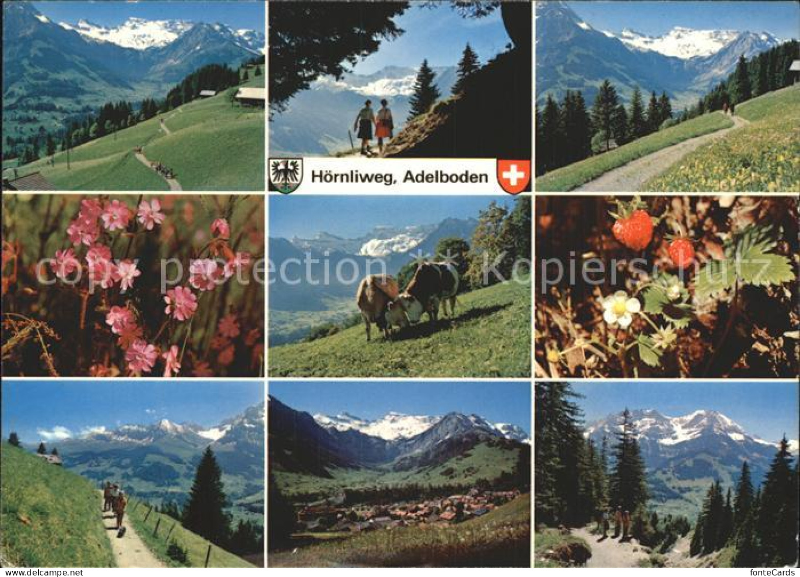 12370417 Adelboden Hoernliweg Berner Oberland Adelboden BE - Andere & Zonder Classificatie