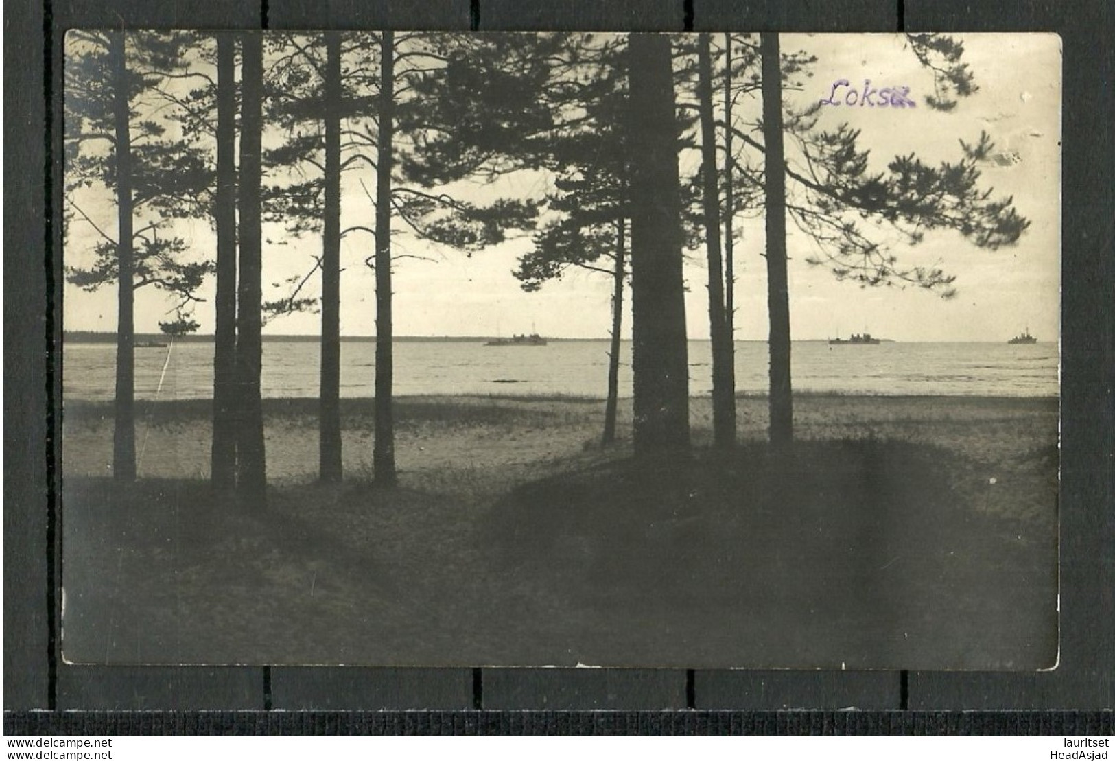 Estonia Estland Ca. 1920 LOKSA Strand Ships Schiffe, Photo Post Card, Unused - Estonie