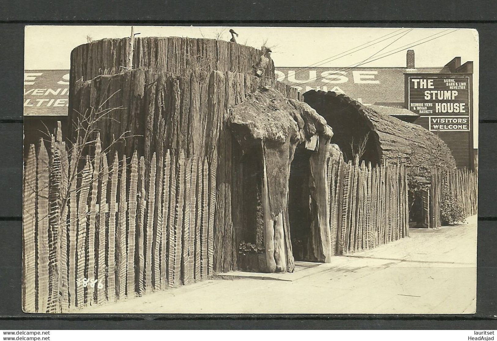 USA California The Stump House, Unused Photo Post Card - Altri & Non Classificati