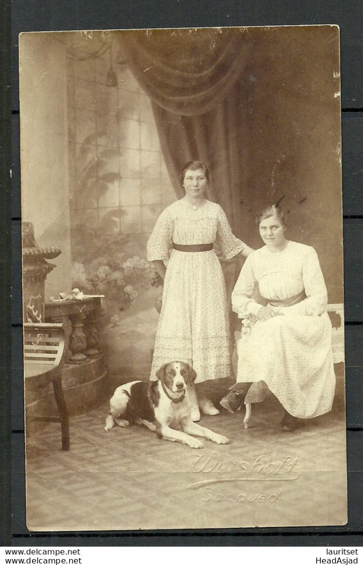 Old Family Photograph Ca 1900 Two Women With A Dog - Oud (voor 1900)