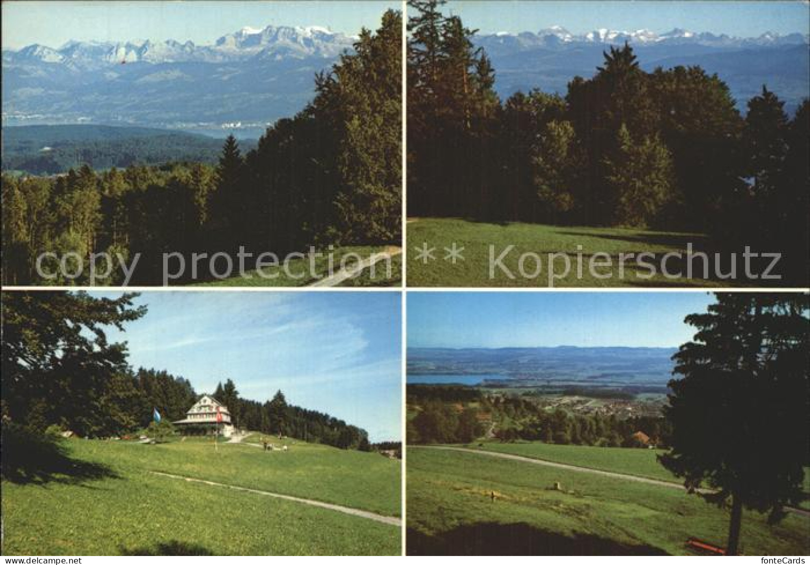 12366897 Zuerich Obersee Waegitalerberge Glaernisch Alpenpanorama Blick Auf Egg  - Other & Unclassified