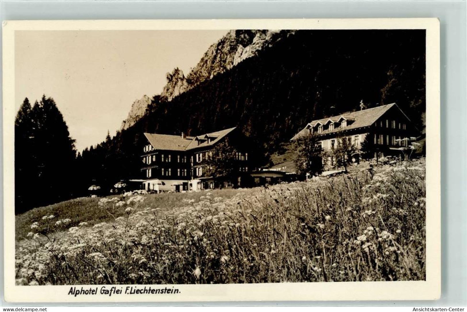 13198009 - Gaflei - Liechtenstein