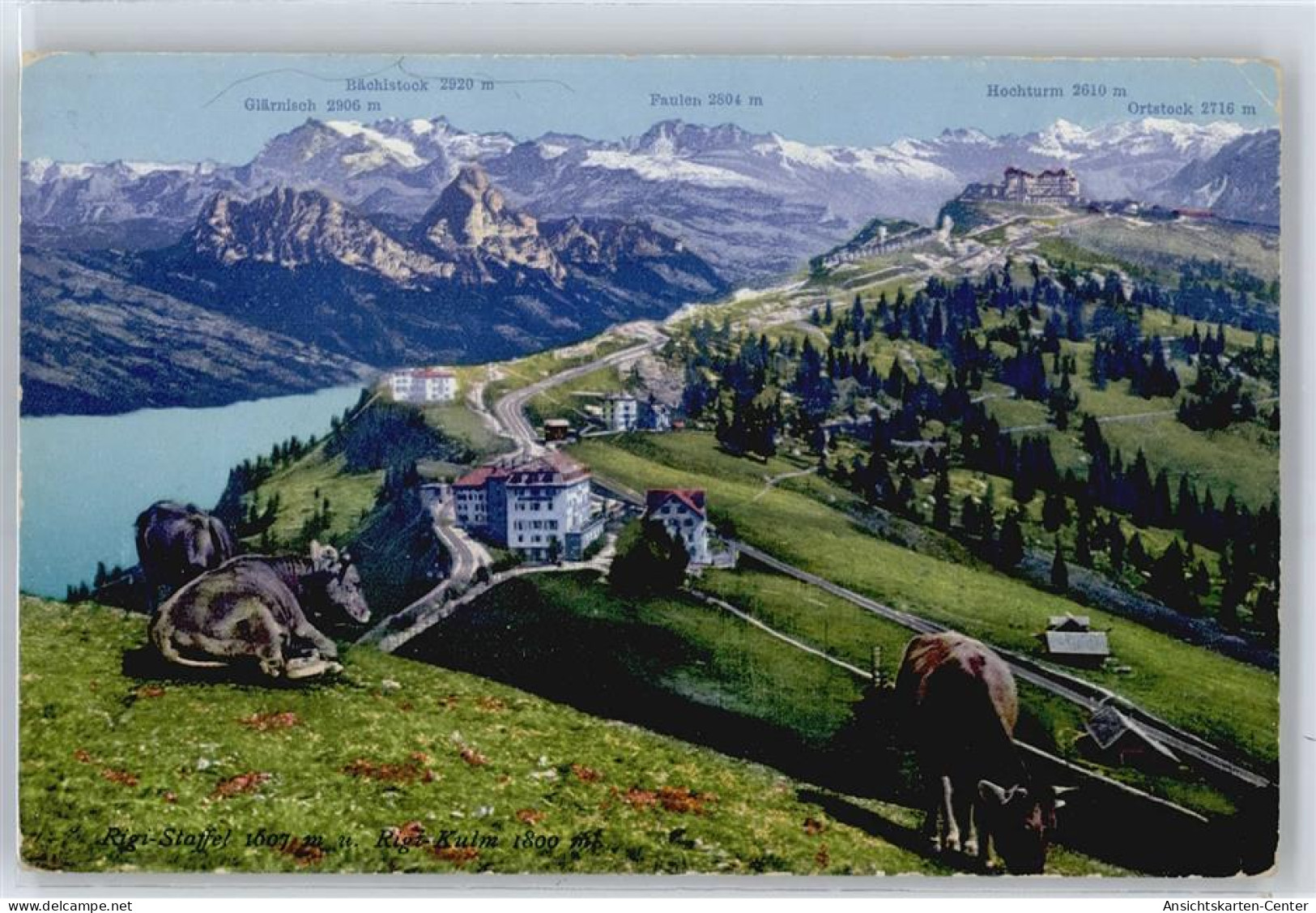 50571009 - Rigi Staffel - Andere & Zonder Classificatie