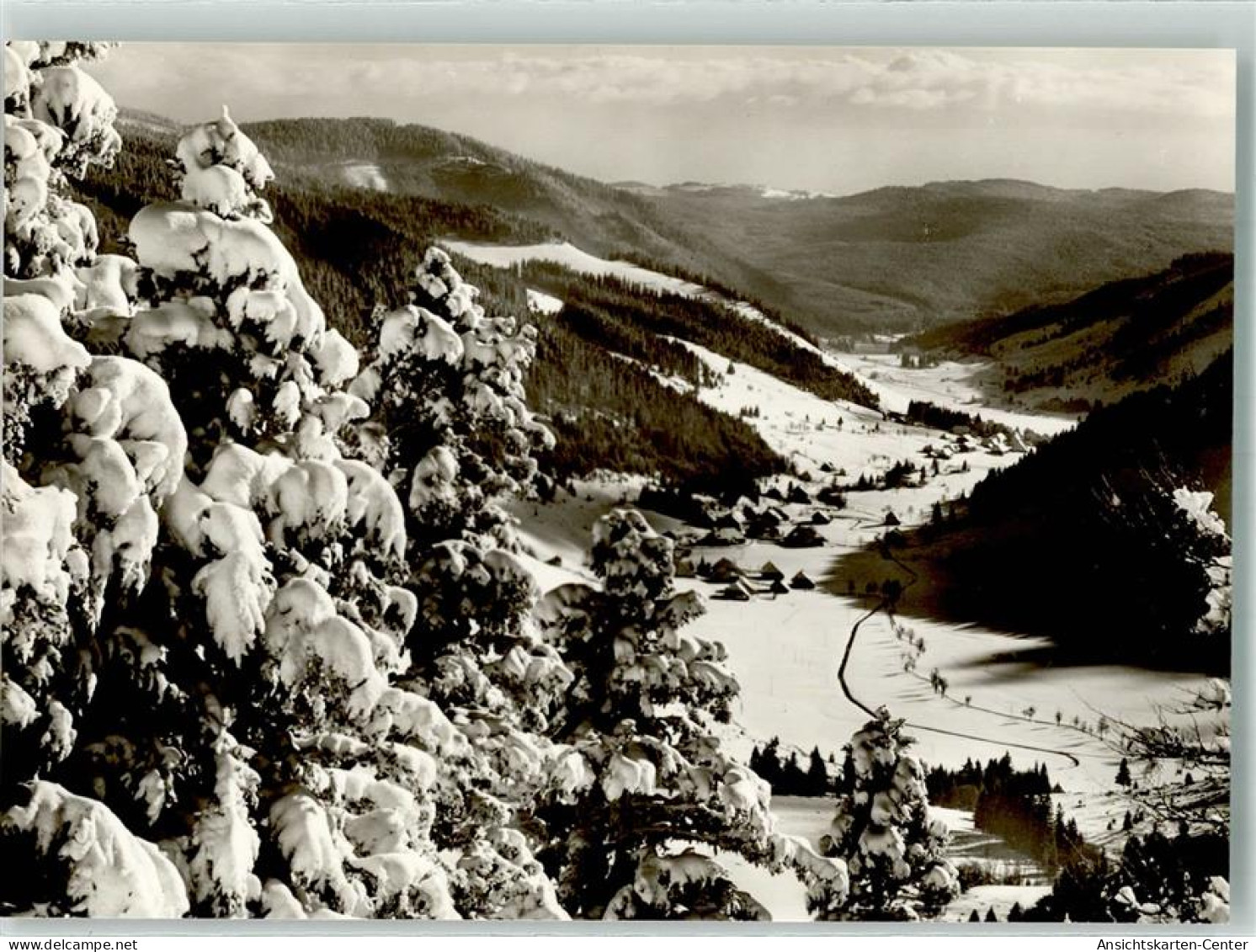 39713309 - Feldberg , Schwarzwald - Feldberg