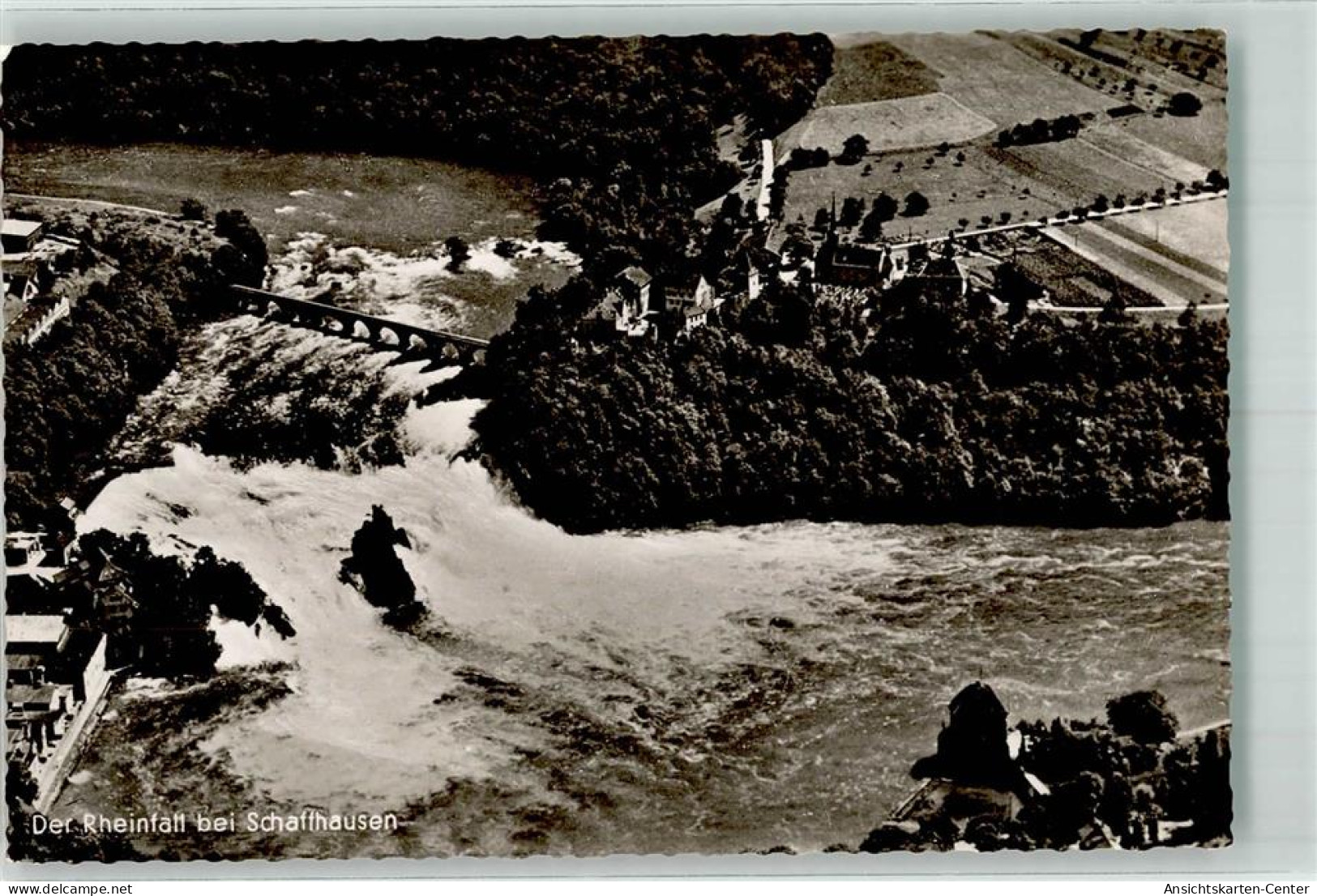 39702209 - Dachsen Laufen Am Rheinfall - Sonstige & Ohne Zuordnung