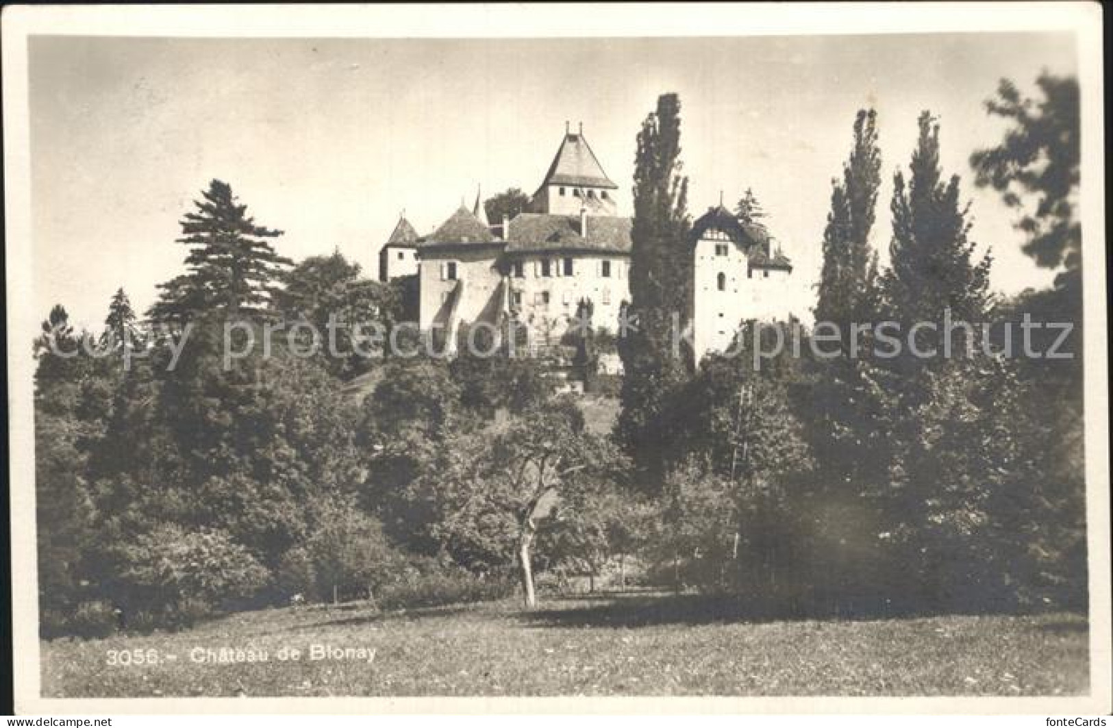 12339117 Blonay Chateau Blonay - Andere & Zonder Classificatie