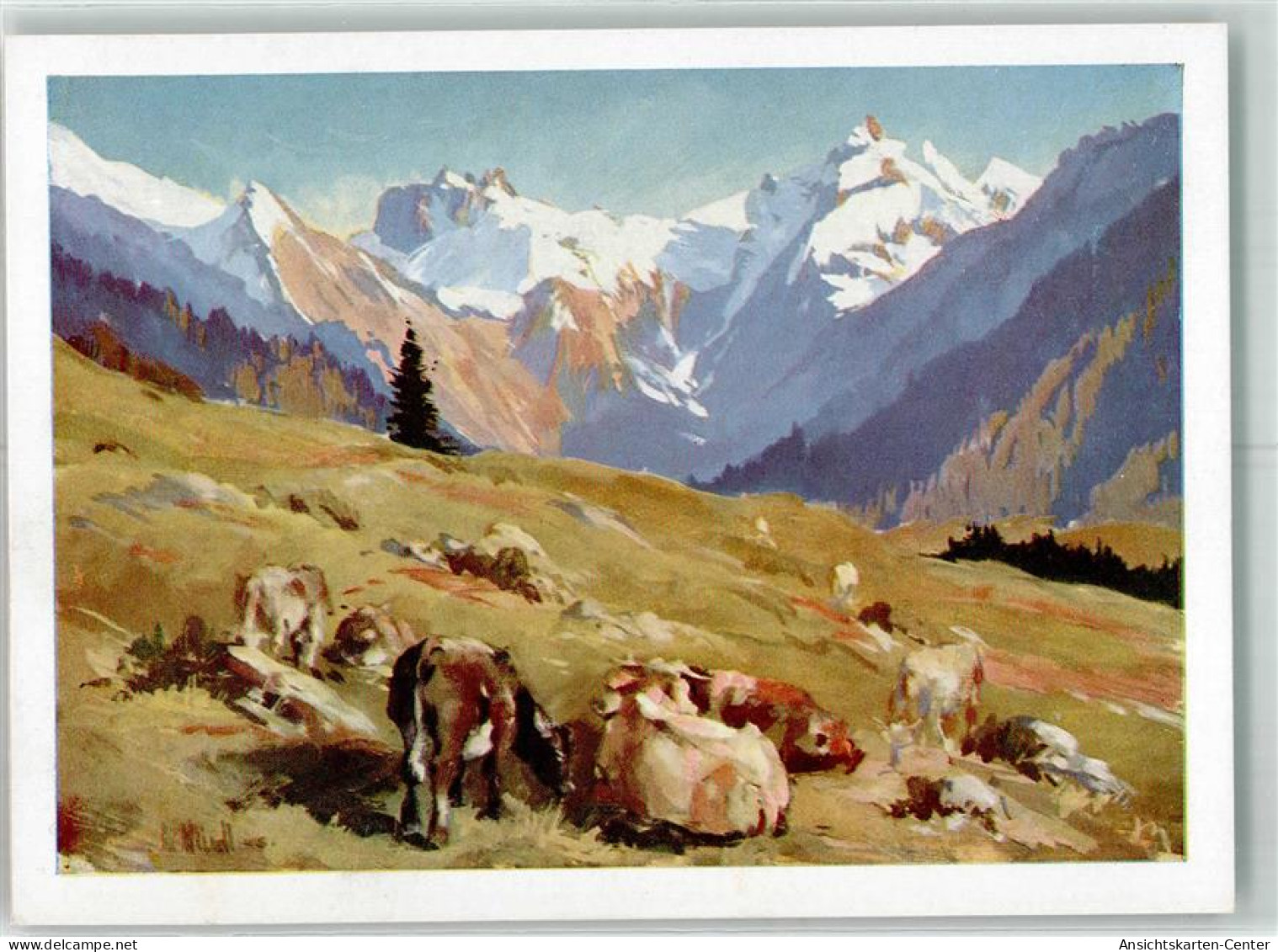 39742809 - Sign. Weindl Karl Verlag Heckmair Nr.86 - Vaches