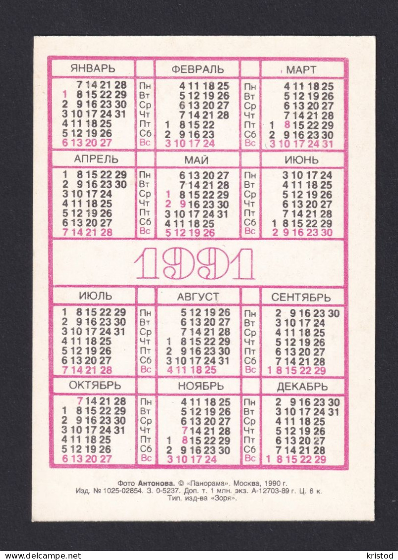 Calendar 1991 - Rusia