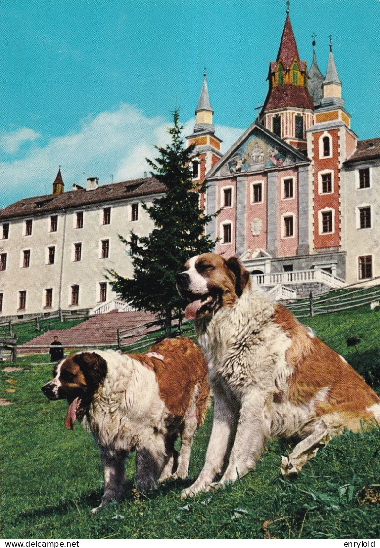 Santuario Madonna Di Pietralba Bolzano  - Altri & Non Classificati