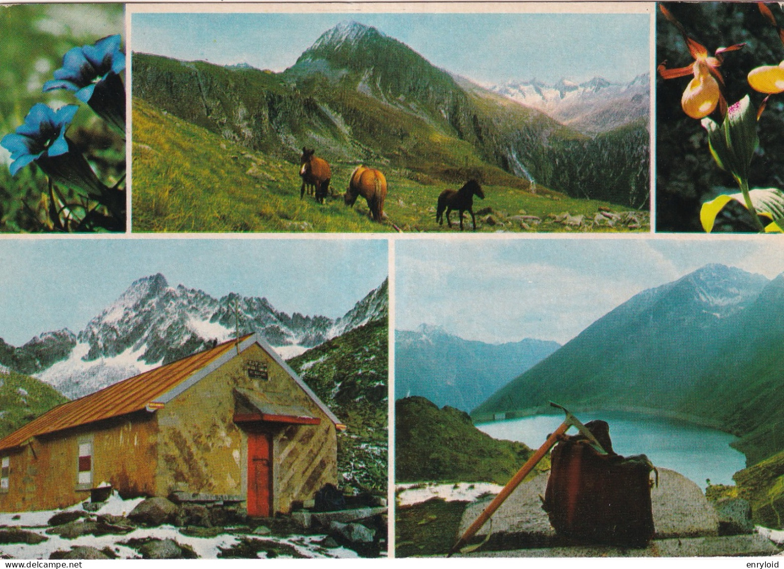 Gruppo Adamello Rifugio Tonolini E Lago Baitone - Autres & Non Classés