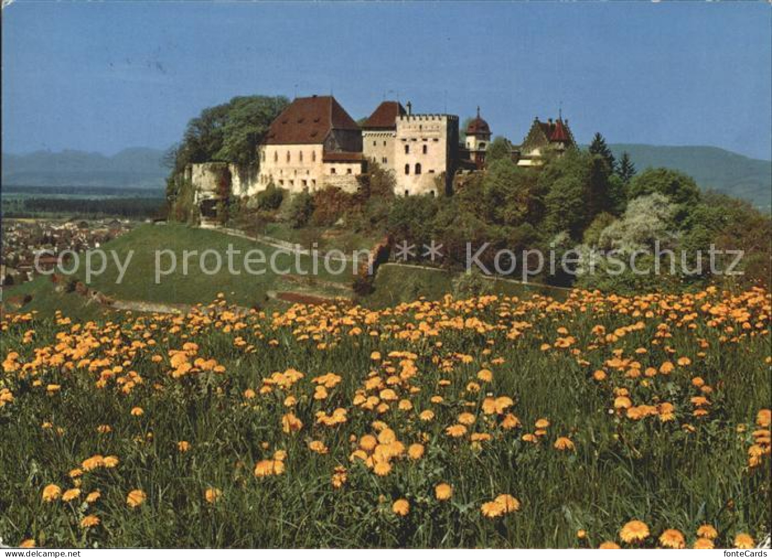 12336217 Lenzburg Schloss Lenzburg - Autres & Non Classés