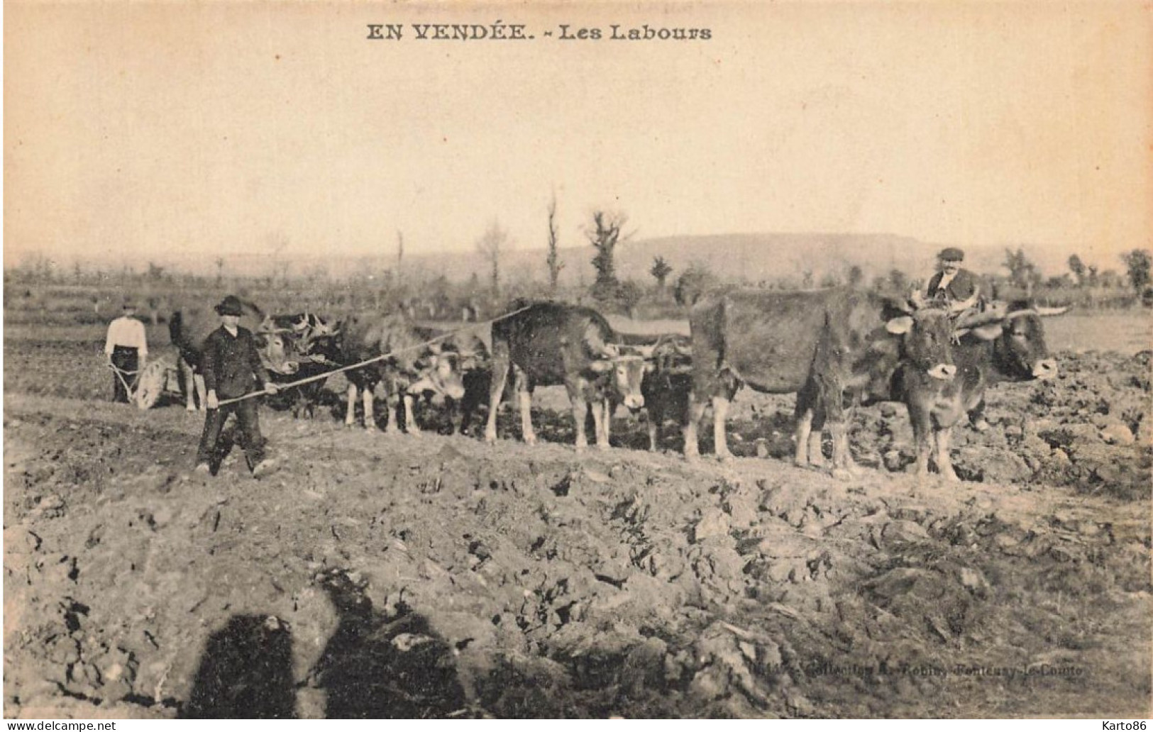 En Vendée * éditeur Robin Fontenay Le Comte * Les Labours * Thème Labour Agricole Agriculture Attelage Boeufs - Other & Unclassified