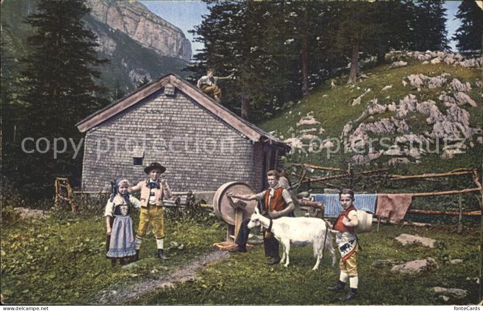 12323157 Appenzell IR Appenzeller Sennhuette Bauernfamilie Ziege Appenzell IR - Sonstige & Ohne Zuordnung