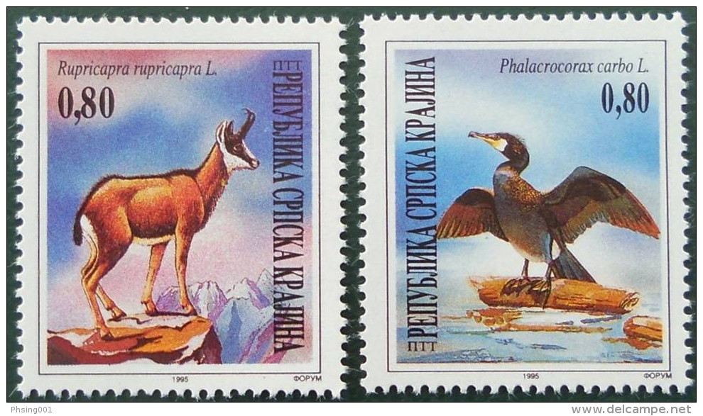 Croatia 1995 Serbian Krajina European Nature Protection Fauna Birds Cormorant Ibex, Set MNH - Kroatien