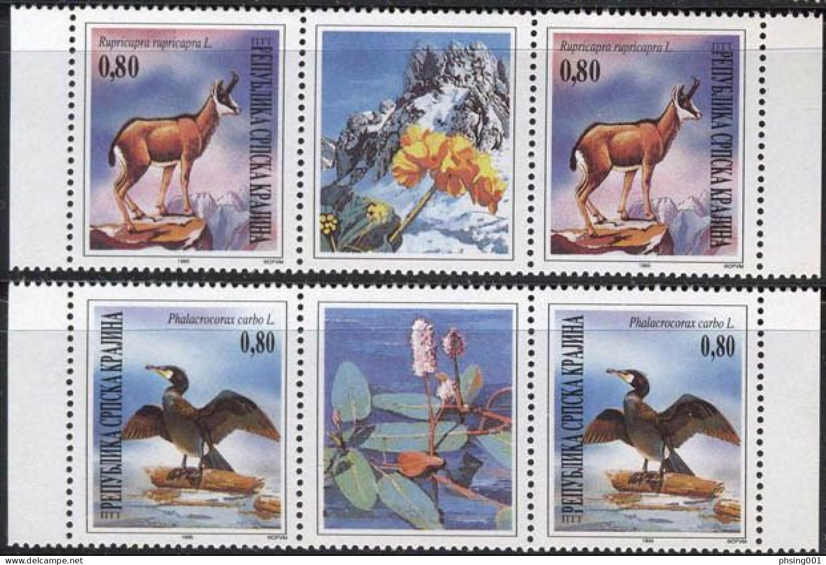 Croatia 1995 Serbian Krajina European Nature Protection Fauna Birds Cormorant Ibex, Middle Row MNH - Kroatien