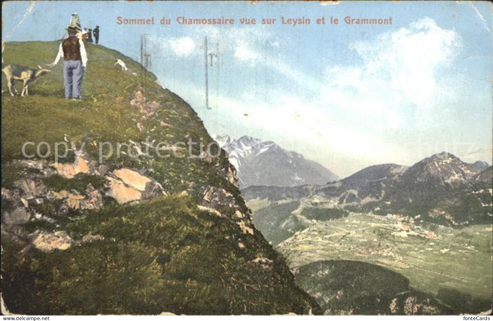 12318177 Leysin Sommet Du Chamossaire Grammont Ziegen Alpenpanorama Leysin - Sonstige & Ohne Zuordnung