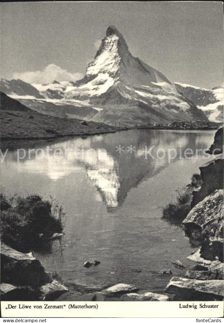 12307137 Matterhorn VS Loewe Von Zermatt Matterhorn VS - Other & Unclassified