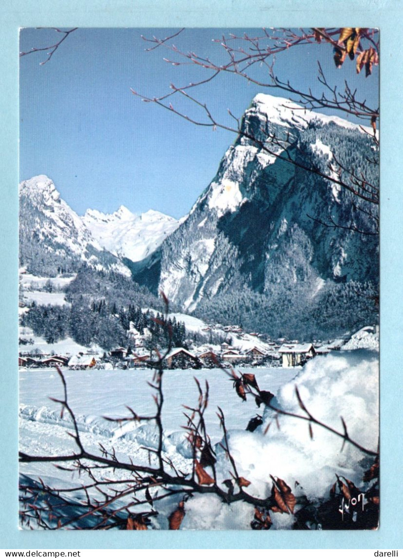 CP 74 - Samoëns - Vue Sur Le Criou Depuis Les Piste De Fond - Samoëns