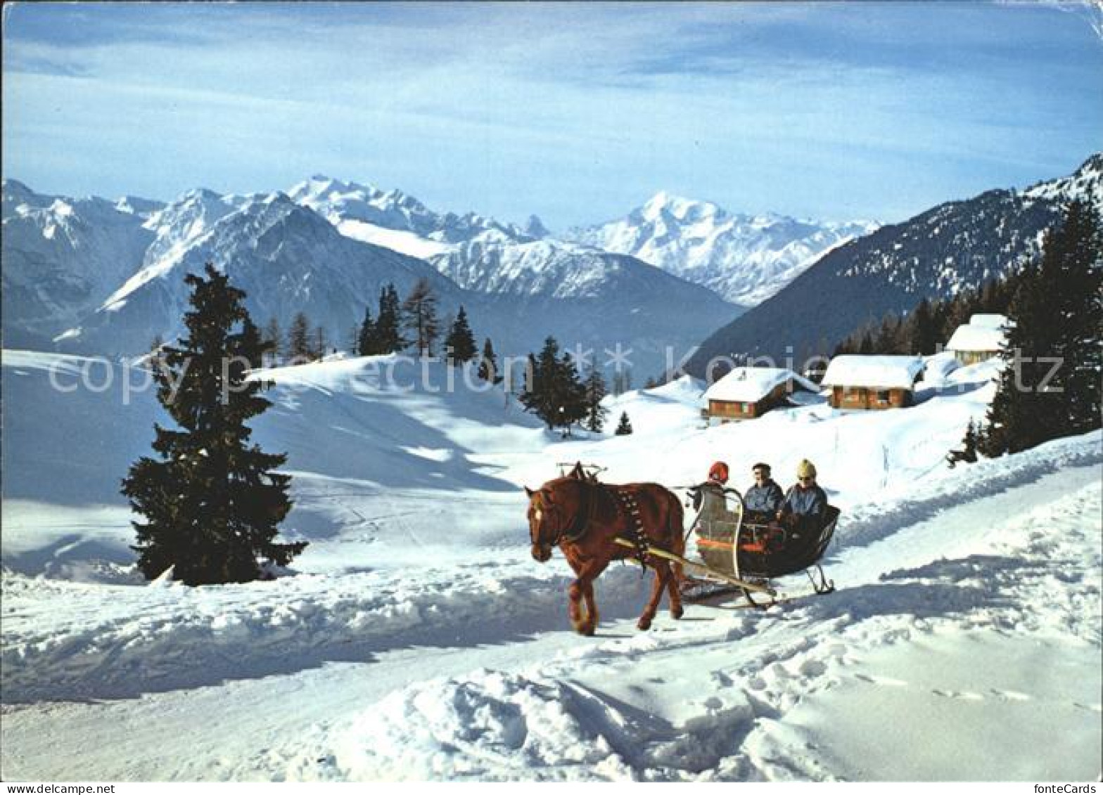 12141227 Wallis Valais Kanton Riederalp Bettmeralp Dom Matterhorn Weisshorn Pfer - Autres & Non Classés