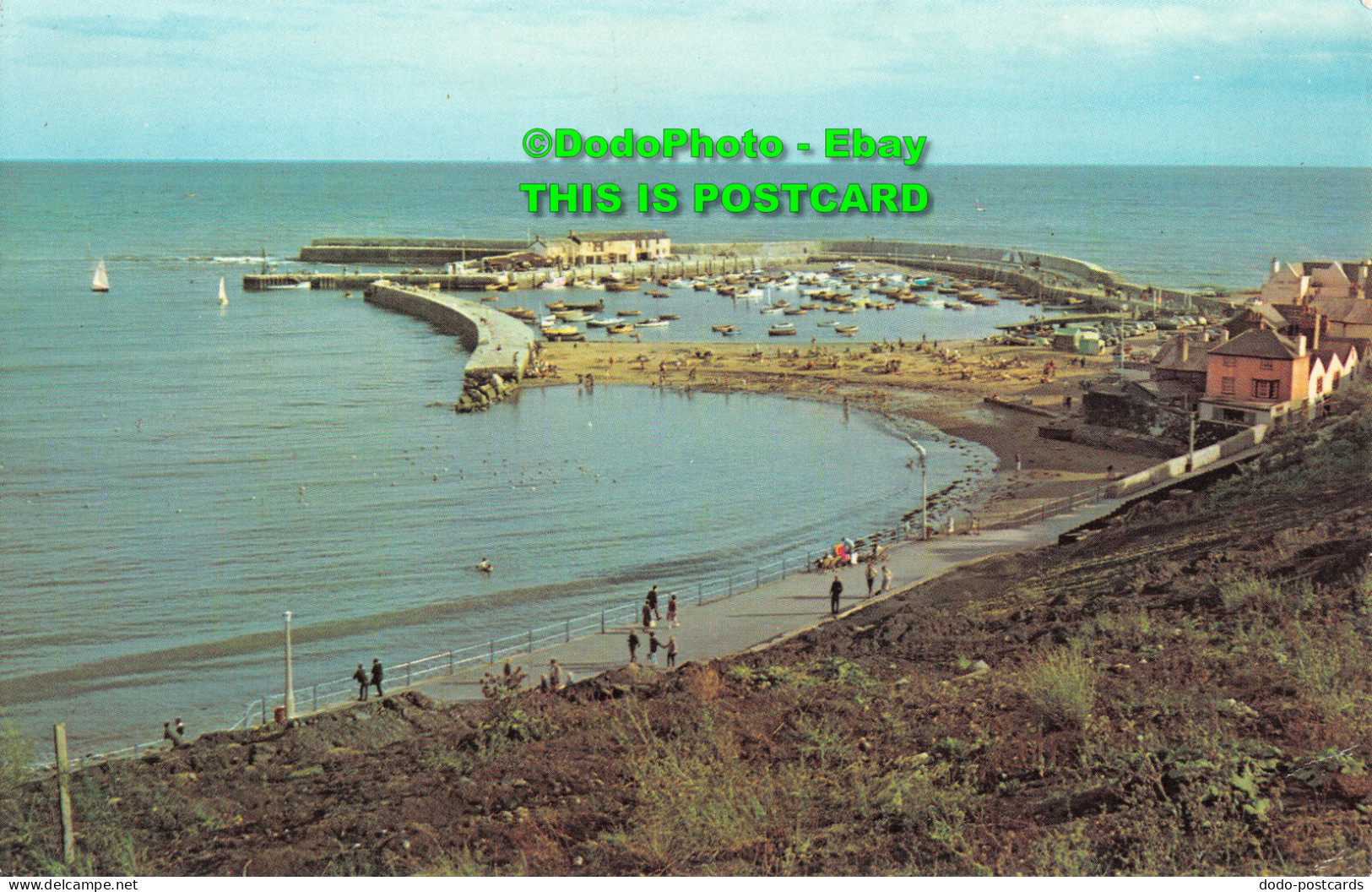 R413294 Cobb. Lyme Regis. Postcard - World