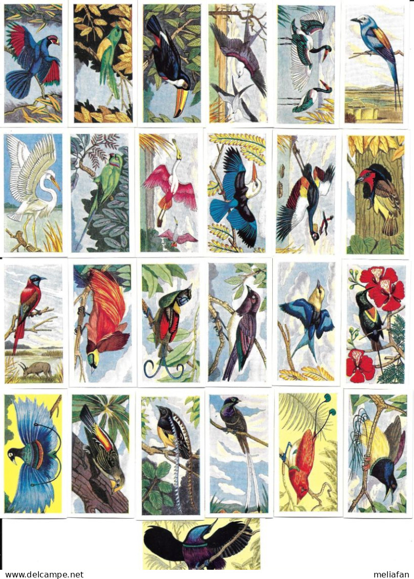 BC37 - SERIE COMPLETE 25 CARTES - TROPICAL BIRDS - Other & Unclassified