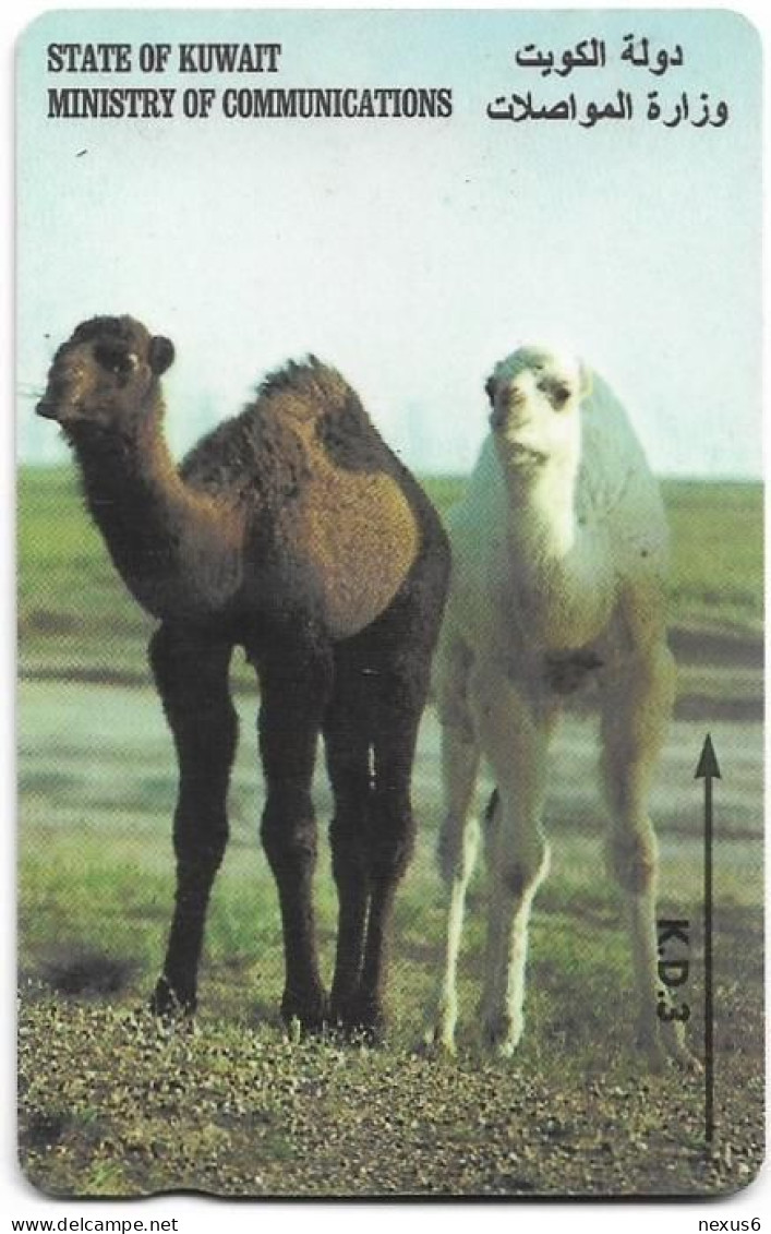 Kuwait - (GPT) - Young Camels - 29KWTA - 1995, Used - Koeweit