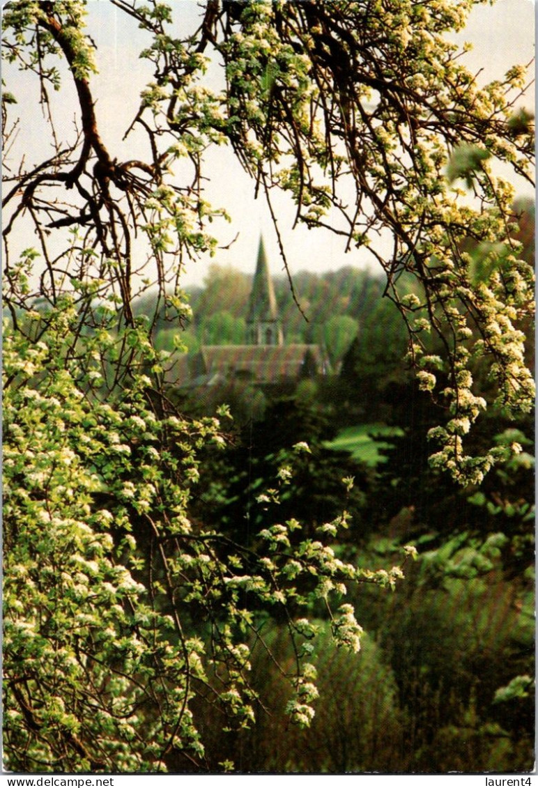 15-5-2024 (5 Z 12) UK (posted To Australia 1995) Woodchester Valley - Sonstige & Ohne Zuordnung