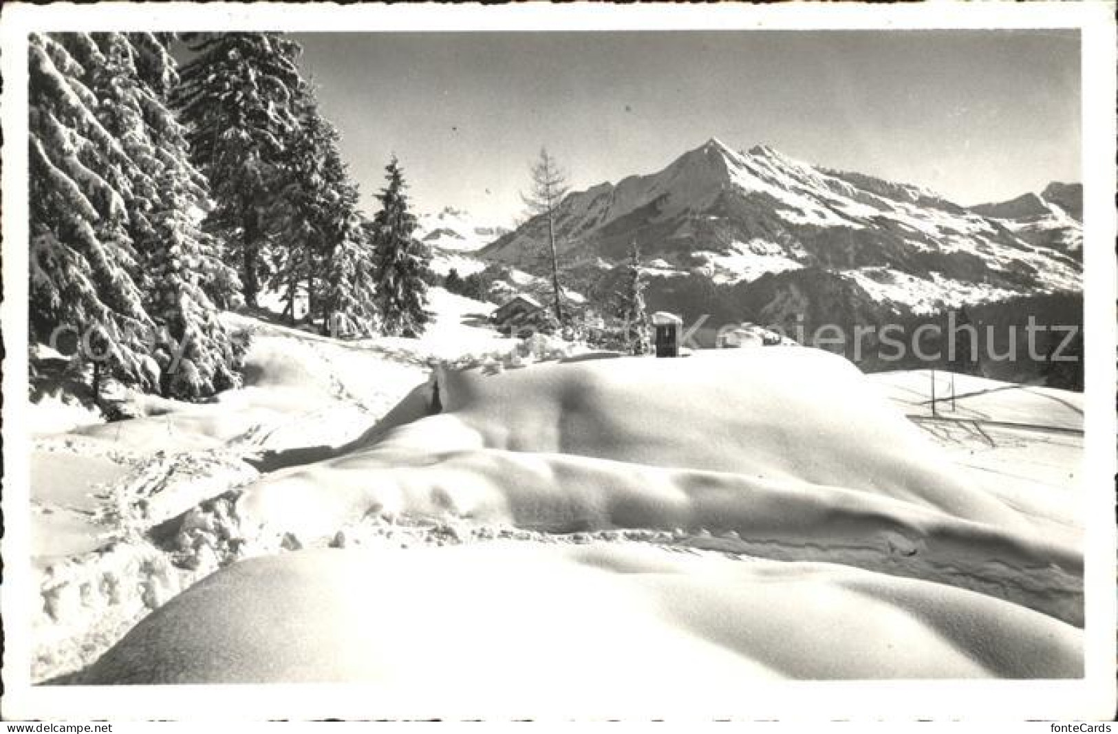 12052277 Leysin Et Pic Chaussy Leysin - Other & Unclassified