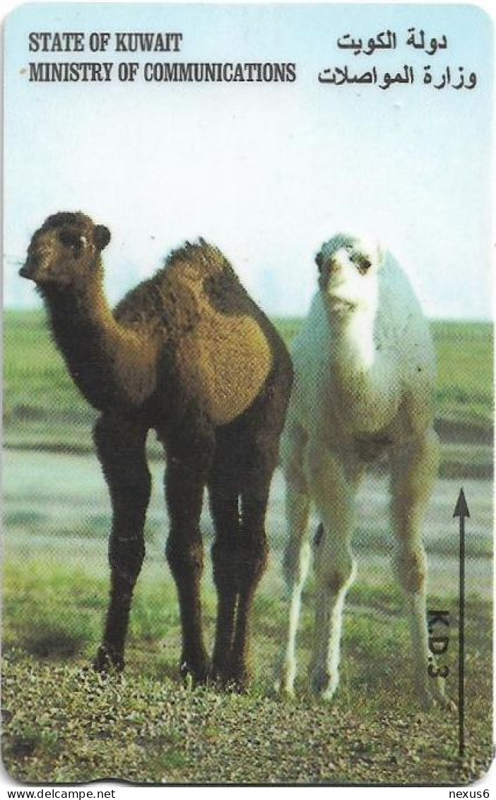 Kuwait - (GPT) - Young Camels - 36KWTH (Normal 0, Flat Top '3), 1995, Used - Kuwait