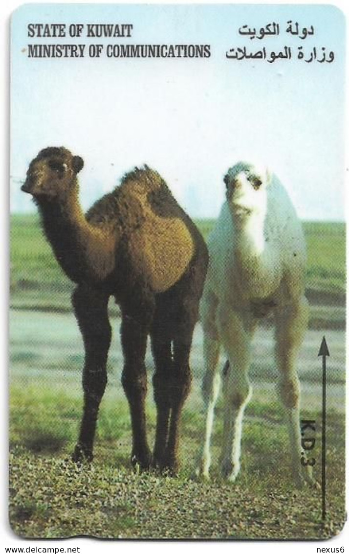 Kuwait - (GPT) - Young Camels - 36KWTH (Dashed Ø), 1995, Used - Koeweit