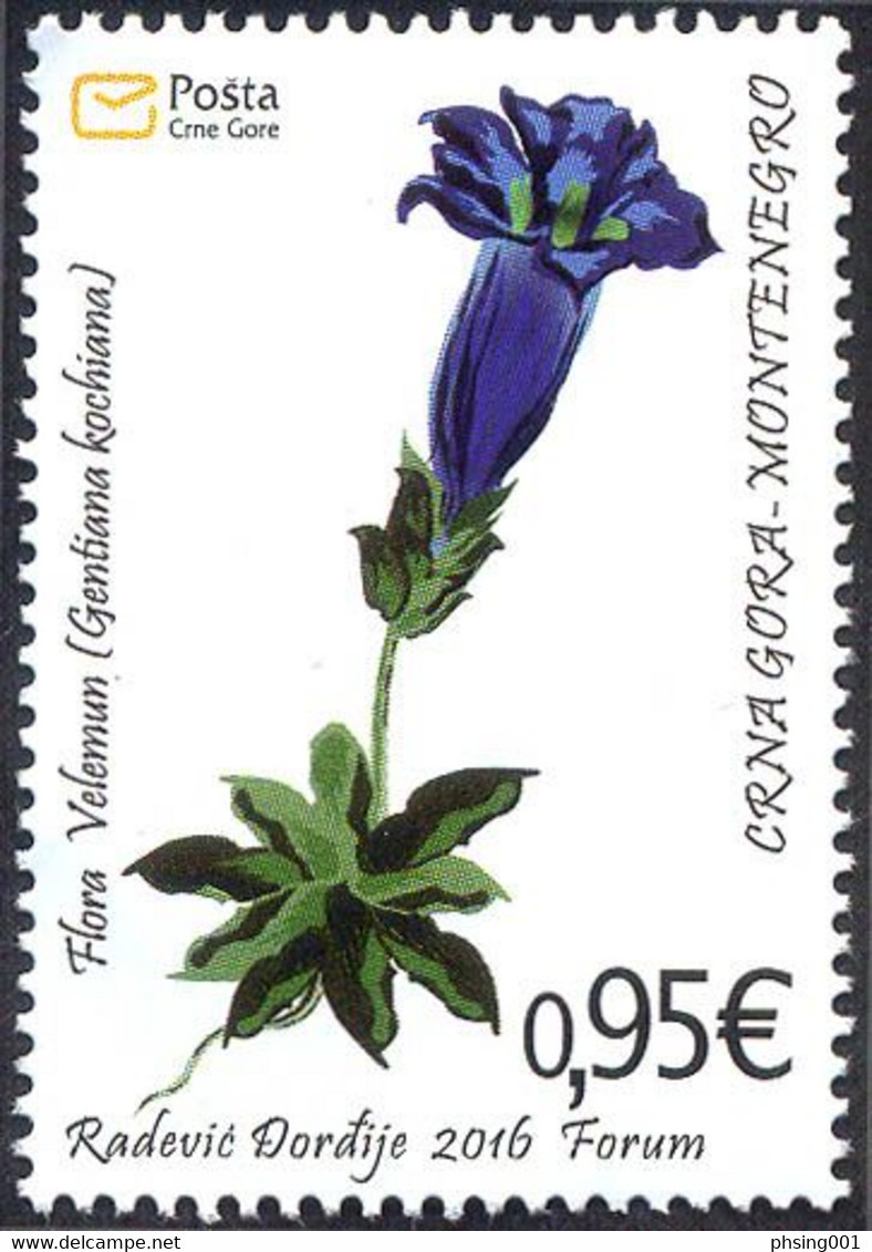 Montenegro 2016 Flora Flower Velemun Gentiana Kochiana, MNH - Montenegro