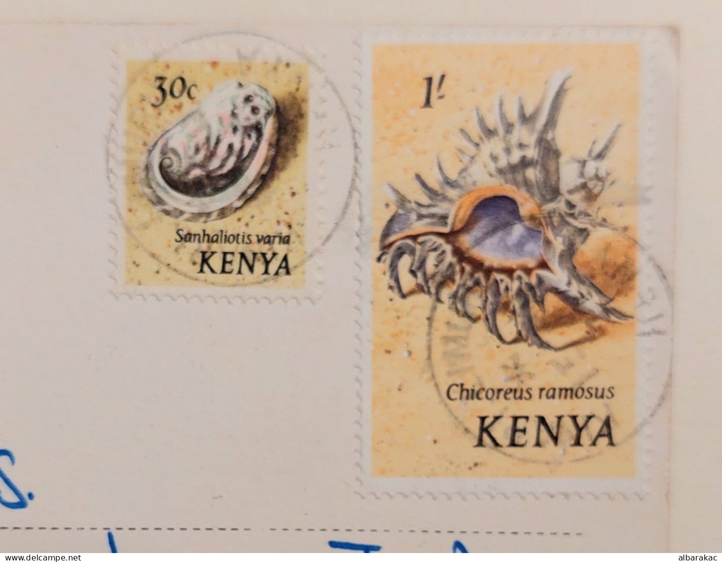 Kenya - Masai Dance Costume ,NUS ETHNIQUES Adultes ( Afrique Noire ) , Stamp Shell Used Air Mail 1977 - Kenia